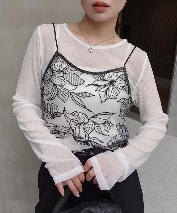 ���塼������ɽ��ӥ������ں����١�