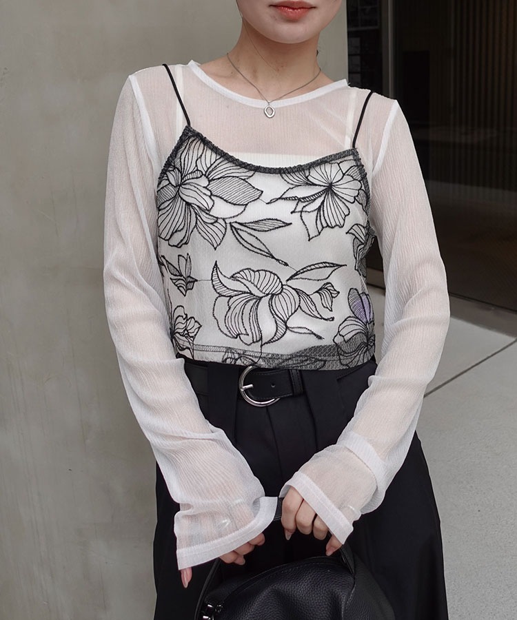 ���塼������ɽ��ӥ������ں����١�