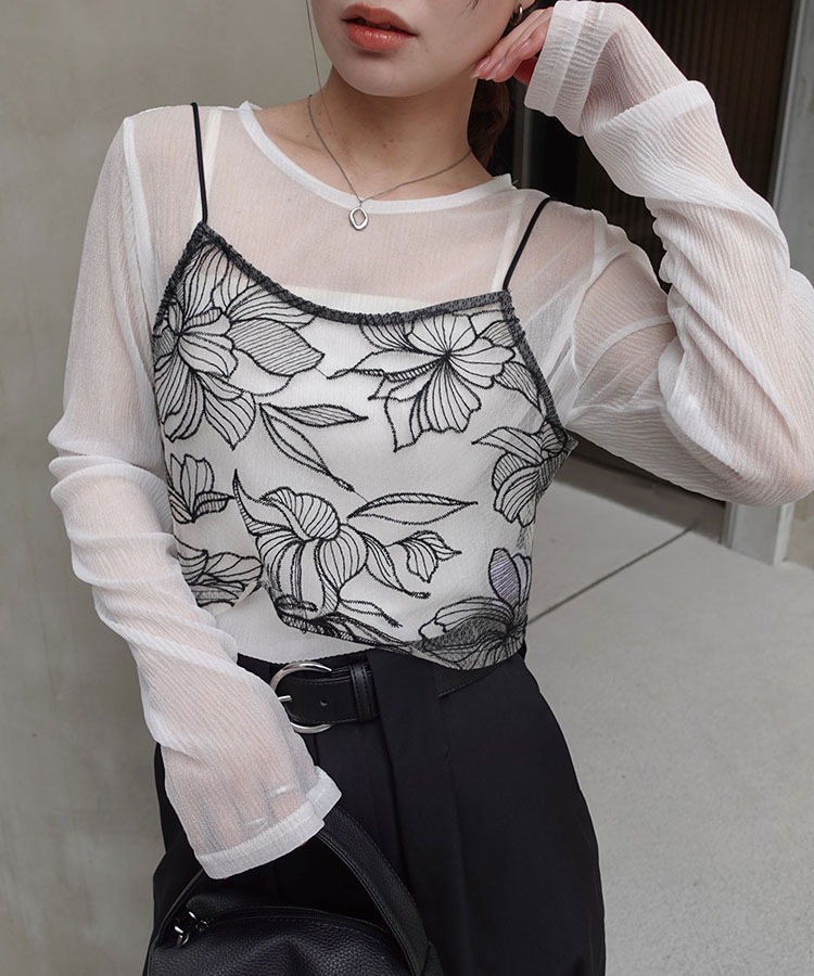 ���塼������ɽ��ӥ������ں����١�