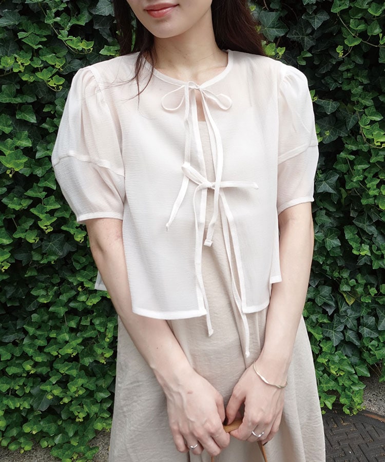 ��å��㡼��������ܥ�֥饦��