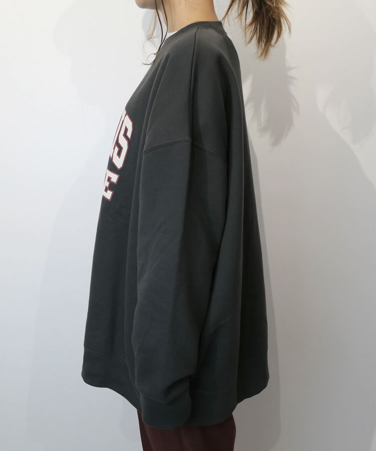 ΢���ӥ���å������ӥå����륨�åȥ������åȥȥ졼�ʡ�