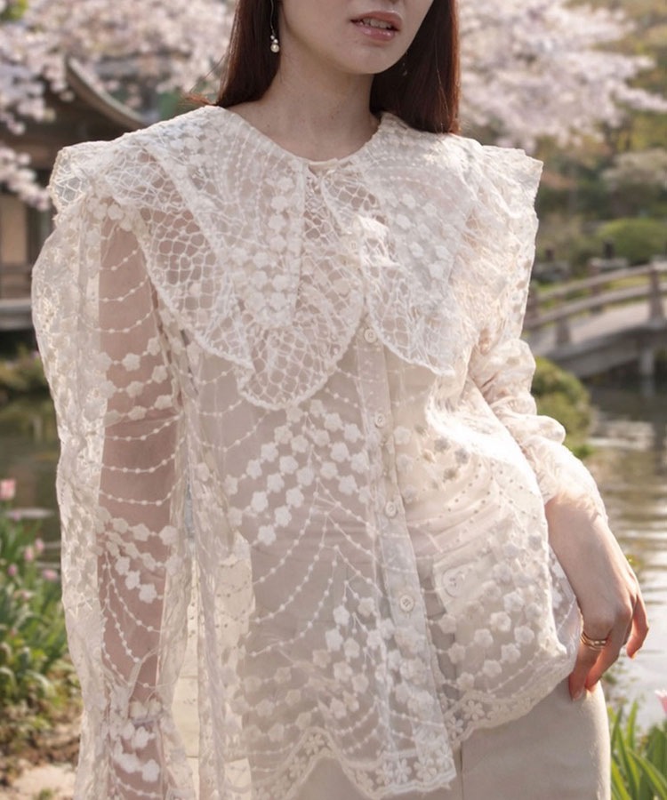 �ӥå����顼�������󥸡��졼���֥饦��