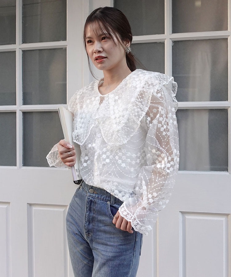 �ӥå����顼�������󥸡��졼���֥饦��