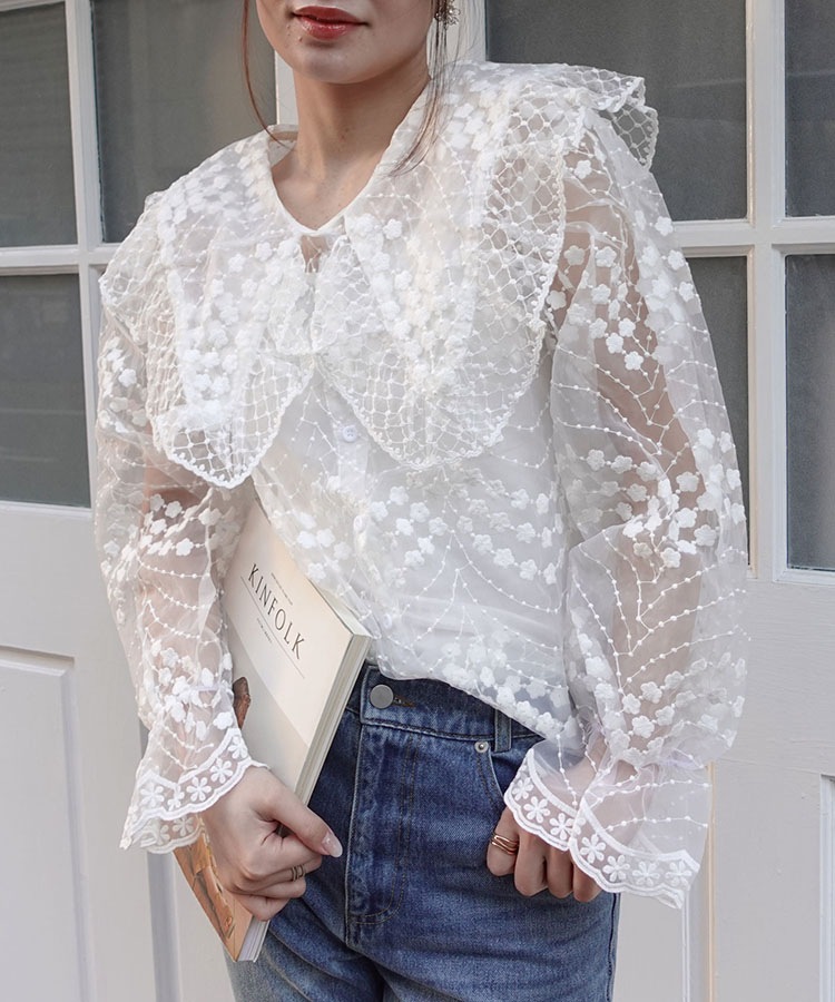 �ӥå����顼�������󥸡��졼���֥饦��