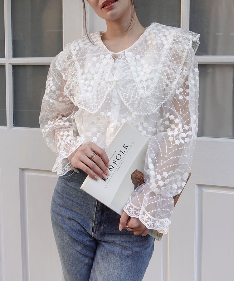 �ӥå����顼�������󥸡��졼���֥饦��