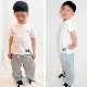 35ȯͽ(˽)󥹥ǥӥ塼祻å 岼2å TĤȥ顼ѥ  󥹥ѥ 90cm150cm 4 ̵  Ⱦµ λ ˤλ Ҷ å å 󥹰 ҥåץۥå ϤƤΥ󥹥
