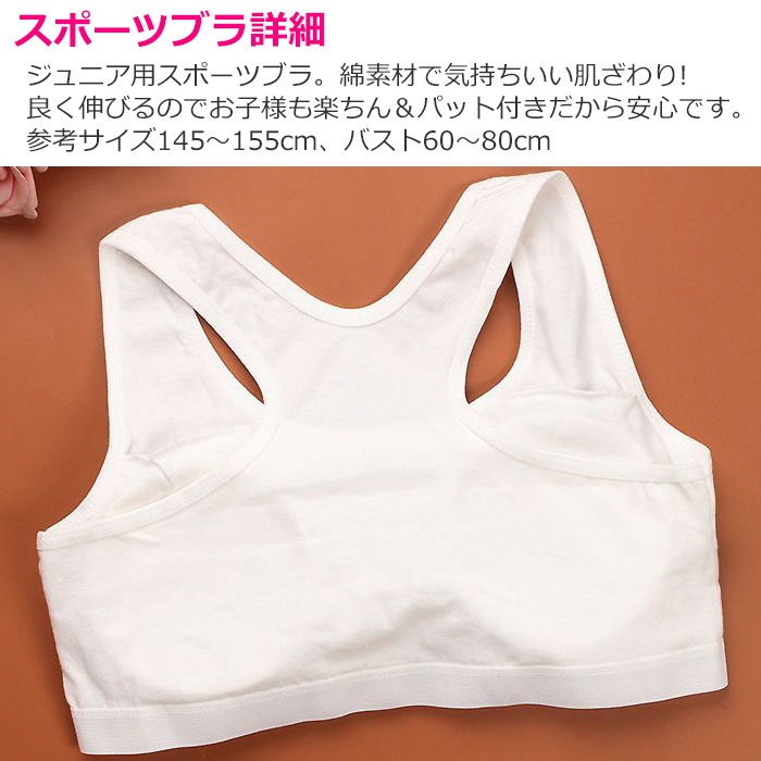 ̵ Ҷ奻å ݡĥ֥ȥ饤 ܥѥ10å  λ ȩ 145cm155cm 12͡14 ̵ ֥å/졼/ۥ磻/١/ԥ/֥롼 ݥ֥ 硼 ѥ Ҷ  