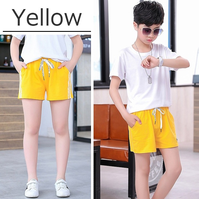 ��֥֥����� �ץ쥼�����12/20�ޤ� ����ޤ�����ȯ��(�����˽���) ���硼�ȥѥ�� �ۥåȥѥ�� �ܥȥॹ  ���λ� �Ҷ� �����륺 �֥�å�/�����/��å�/�ԥ�/��������/���֥롼 110cm��180cm 4������ ���å�