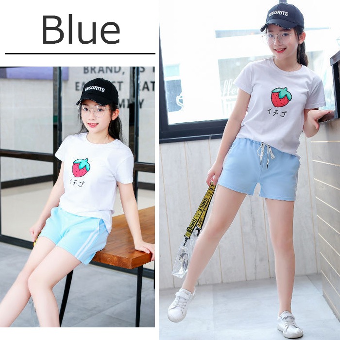 ��֥֥����� �ץ쥼�����12/20�ޤ� ����ޤ�����ȯ��(�����˽���) ���硼�ȥѥ�� �ۥåȥѥ�� �ܥȥॹ  ���λ� �Ҷ� �����륺 �֥�å�/�����/��å�/�ԥ�/��������/���֥롼 110cm��180cm 4������ ���å�