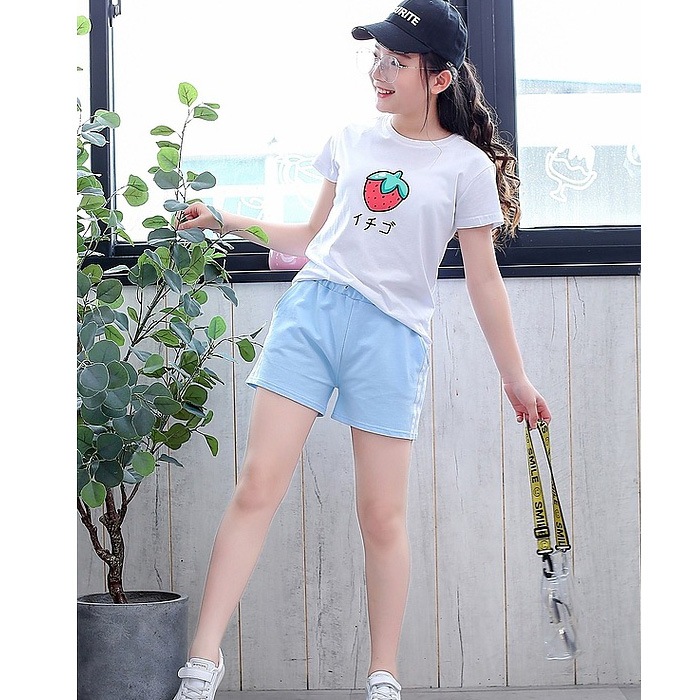 ��֥֥����� �ץ쥼�����12/20�ޤ� ����ޤ�����ȯ��(�����˽���) ���硼�ȥѥ�� �ۥåȥѥ�� �ܥȥॹ  ���λ� �Ҷ� �����륺 �֥�å�/�����/��å�/�ԥ�/��������/���֥롼 110cm��180cm 4������ ���å�