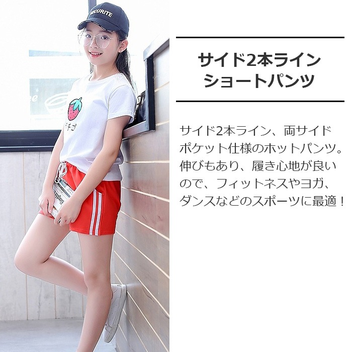 ��֥֥����� �ץ쥼�����12/20�ޤ� ����ޤ�����ȯ��(�����˽���) ���硼�ȥѥ�� �ۥåȥѥ�� �ܥȥॹ  ���λ� �Ҷ� �����륺 �֥�å�/�����/��å�/�ԥ�/��������/���֥롼 110cm��180cm 4������ ���å�