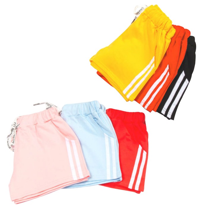 ��֥֥����� �ץ쥼�����12/20�ޤ� ����ޤ�����ȯ��(�����˽���) ���硼�ȥѥ�� �ۥåȥѥ�� �ܥȥॹ  ���λ� �Ҷ� �����륺 �֥�å�/�����/��å�/�ԥ�/��������/���֥롼 110cm��180cm 4������ ���å�