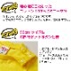 23Ķȯ TRJꥸʥ Ⱦµ T  ơ 90cmXL 12 9顼 ̵ t ץ  Ⱦµ  󥹰 5.6 ® ۿ 󥹥 λ ˤλ ǥ Ҷ 륺 ե