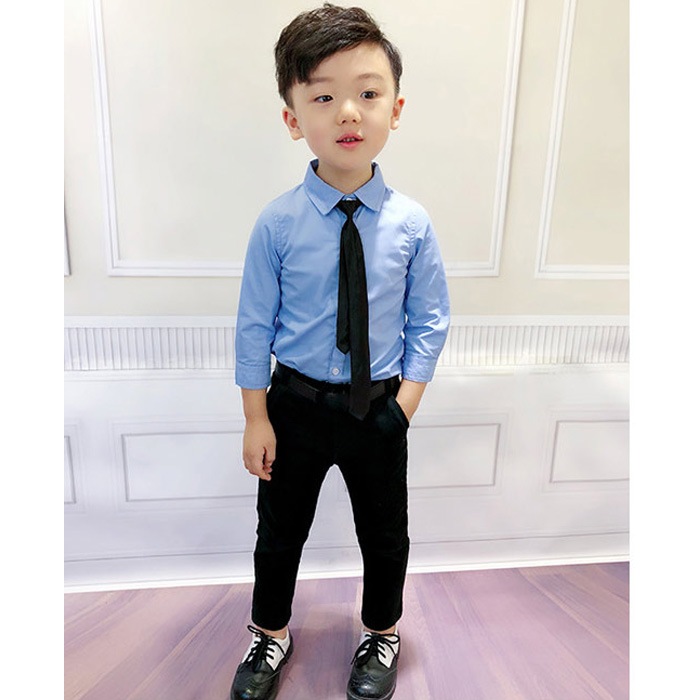 Ķޤȯ ˤλ 磻 Y 3顼 ֥å ۥ磻 ֥롼 Ĺµ եޥ  եޥ륷 ˤλ  ѹ å Ҷ ´ȼ ؼ Ҷեޥ å ༰ ޻