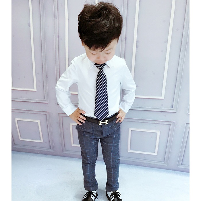 Ķޤȯ ˤλ 磻 Y 3顼 ֥å ۥ磻 ֥롼 Ĺµ եޥ  եޥ륷 ˤλ  ѹ å Ҷ ´ȼ ؼ Ҷեޥ å ༰ ޻