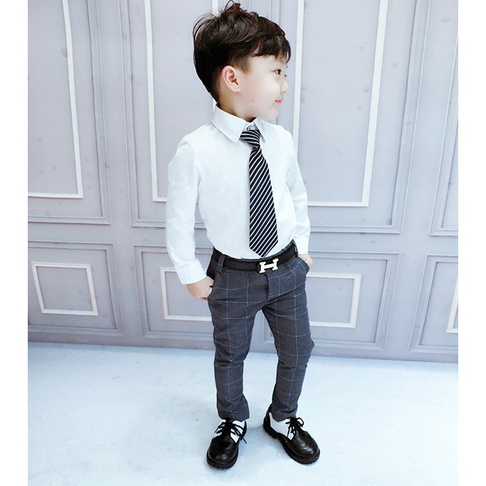 Ķޤȯ ˤλ 磻 Y 3顼 ֥å ۥ磻 ֥롼 Ĺµ եޥ  եޥ륷 ˤλ  ѹ å Ҷ ´ȼ ؼ Ҷեޥ å ༰ ޻