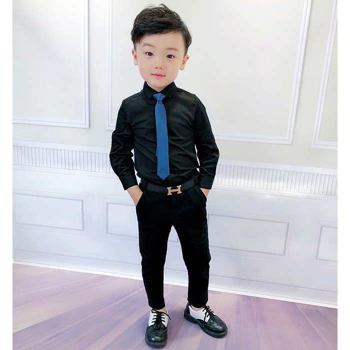 Ķޤȯ ˤλ 磻 Y 3顼 ֥å ۥ磻 ֥롼 Ĺµ եޥ  եޥ륷 ˤλ  ѹ å Ҷ ´ȼ ؼ Ҷեޥ å ༰ ޻