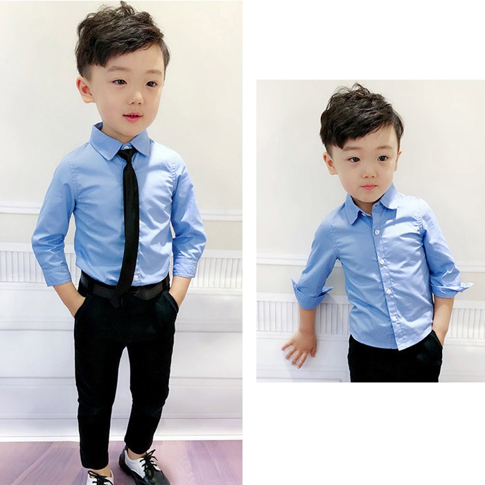 Ķޤȯ ˤλ 磻 Y 3顼 ֥å ۥ磻 ֥롼 Ĺµ եޥ  եޥ륷 ˤλ  ѹ å Ҷ ´ȼ ؼ Ҷեޥ å ༰ ޻