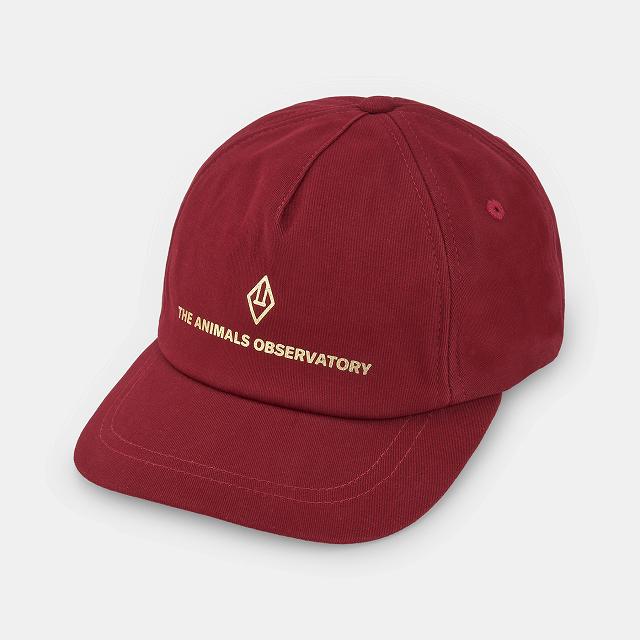 The Animals Observatory(TAO) 2025AW  キャップ M:54cmL:56cm