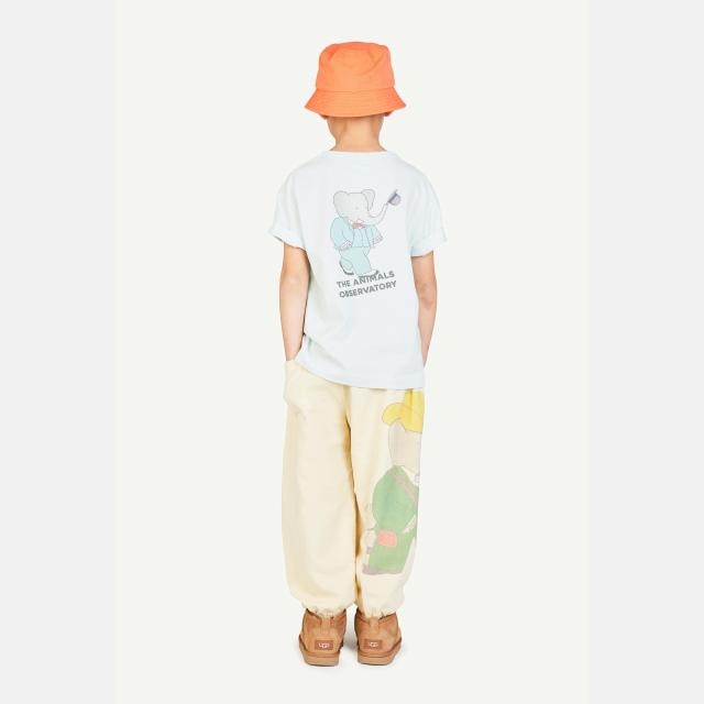 レ トロワ グラン Les Trois Grands | The Animals Observatory(TAO