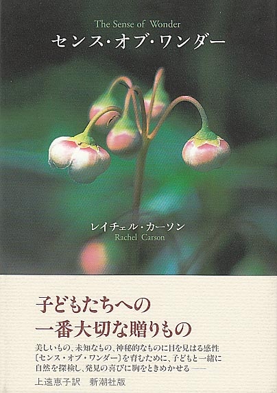 ���󥹡����֡�������