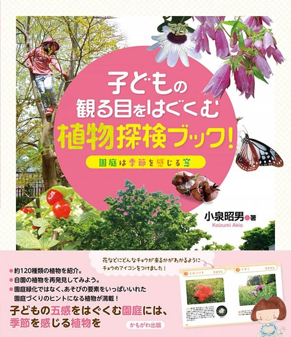 ҤɤδѤܤϤ࿢ʪõ֥å ϵ򴶤