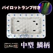 オリジナル 大型 角R 鱗柄 パイロットナンバー枠 パイロットランプ穴