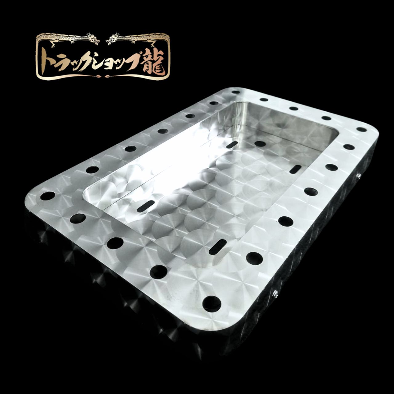 オリジナル 中型 角R 鱗柄 パイロットナンバー枠 パイロットランプ穴