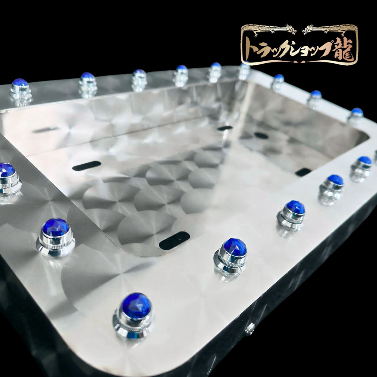 オリジナル 中型 角R 鱗柄 パイロットナンバー枠 パイロットランプ穴