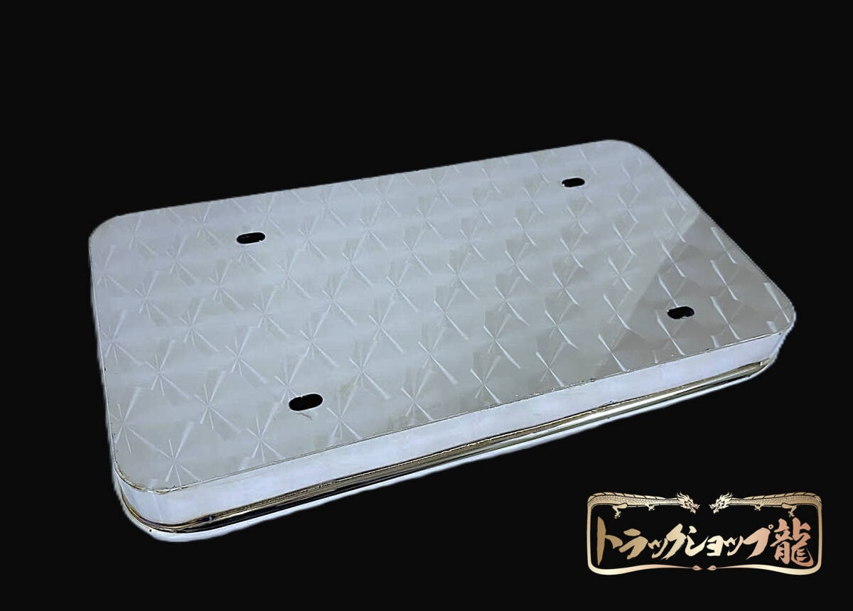 ステンレス 大型 ナンバー枠 鱗柄 バイザーナンバー枠 16Φパイプ