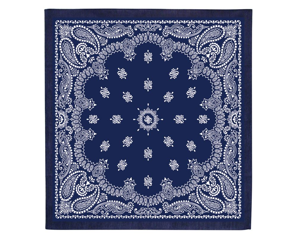 DETAIL | Paisley Bandana Rug Navy [3size] ペイズリーバンダナラグ ネイビー