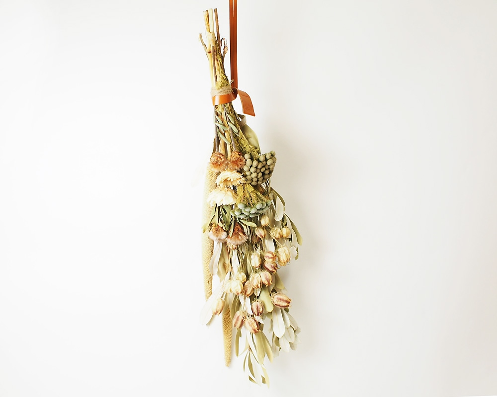 The Landscapers | TLS DRIED FLOWERS [B] ドライフラワー