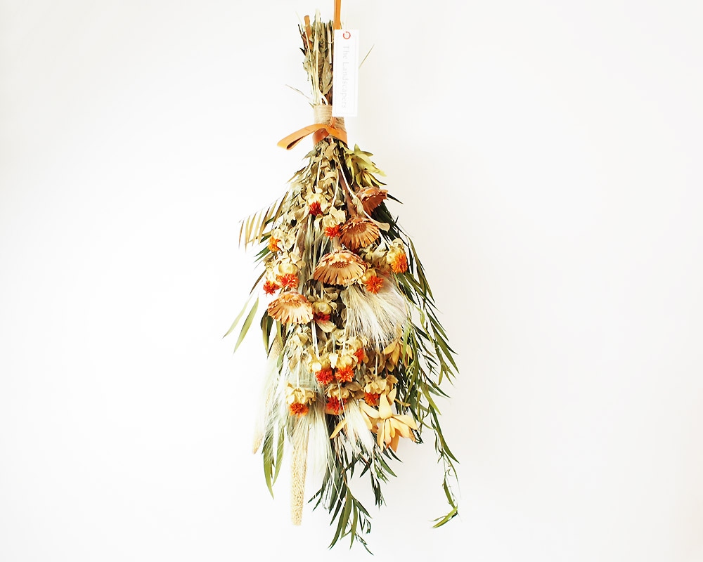 The Landscapers | TLS DRIED FLOWERS [C] ドライフラワー