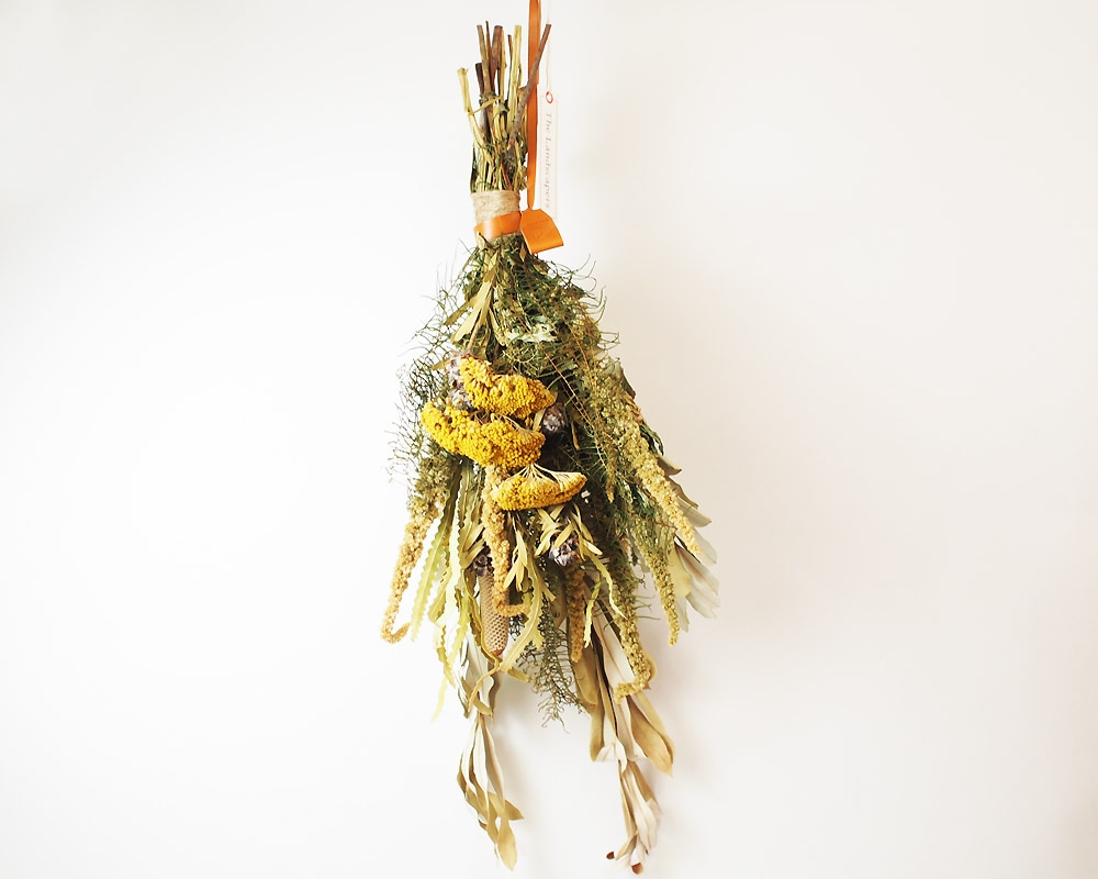 The Landscapers | TLS DRIED FLOWERS [D] ドライフラワー