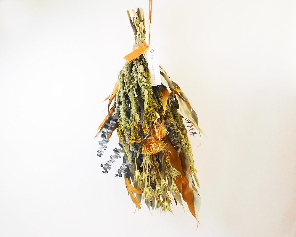The Landscapers | TLS DRIED FLOWERS [E] ドライフラワー