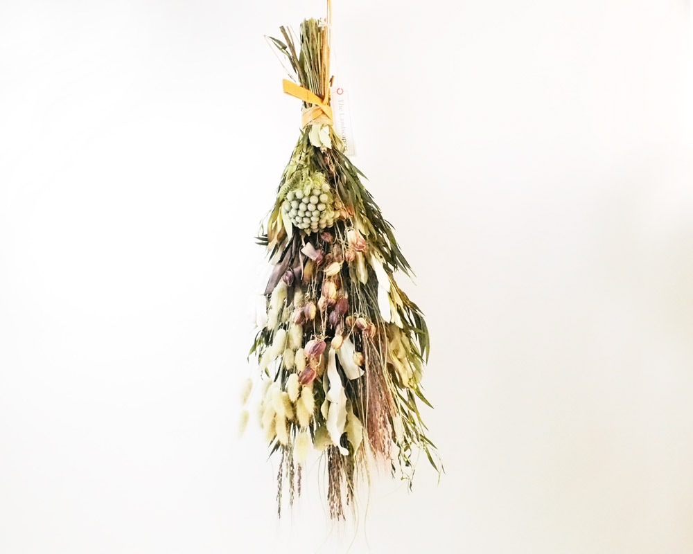 The Landscapers | TLS DRIED FLOWERS [F] ドライフラワー