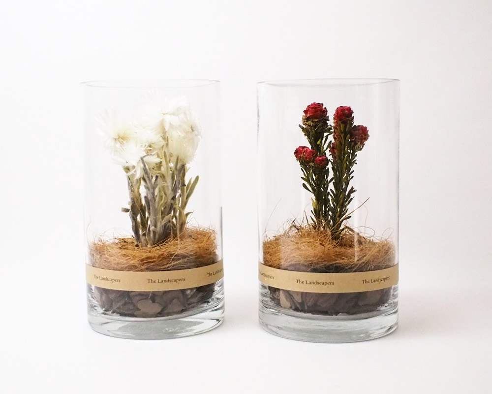The Landscapers | DRY CYLINDER 20 [E] ドライシリンダー20