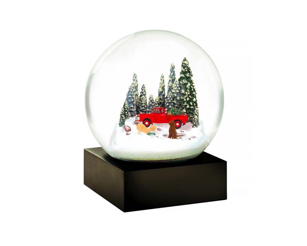 Maestral USA イラスト入りジグソーパズル 250ピース CoolSnowGlobes ローズブーケ スノーグローブ