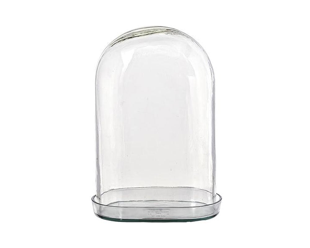 DISPLAY GLASS DOME ディスプレイ ガラス ドームPUEBCO PUEBCO/プエブコ｜ディスプレイ ガラスドーム /DISPLAY GLASS DOME
