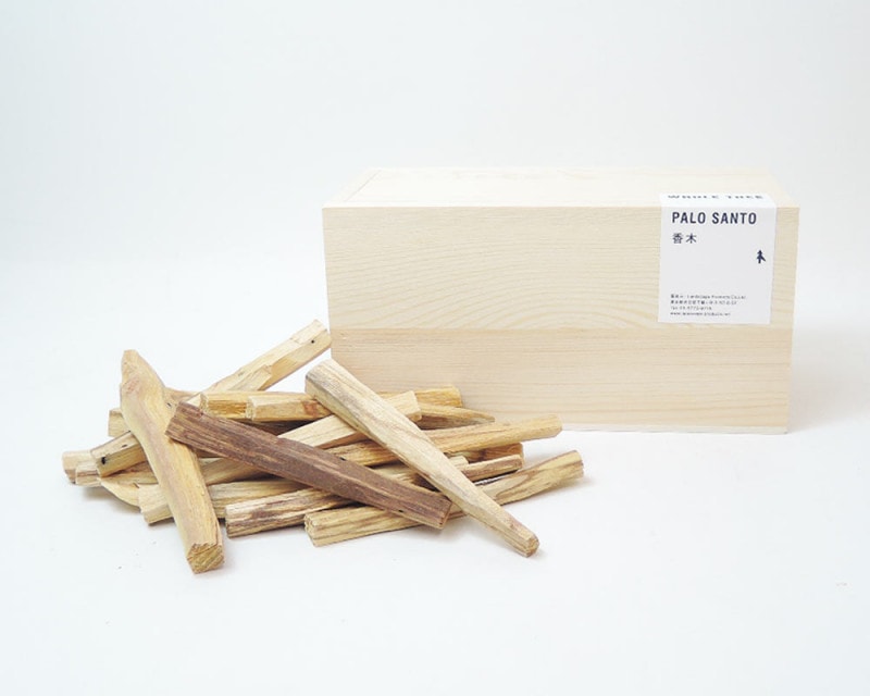 WHOLE TREE | PALO SANTO VOLUME BOX ѥȹ