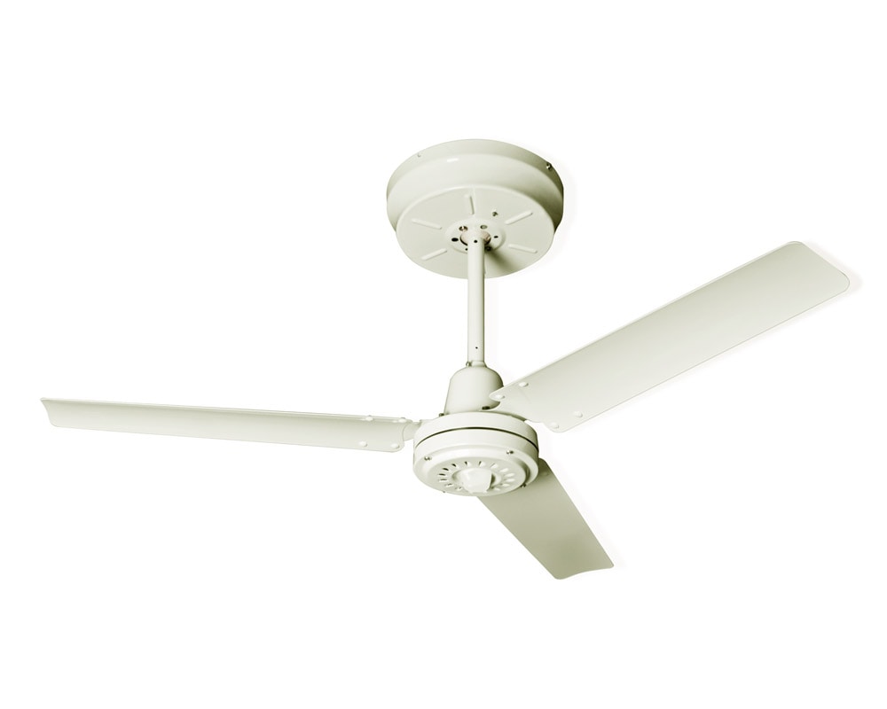 OUTLET | HERMOSA | MONICA Ceiling Fan Ivory モニカシーリングファン アイボリー