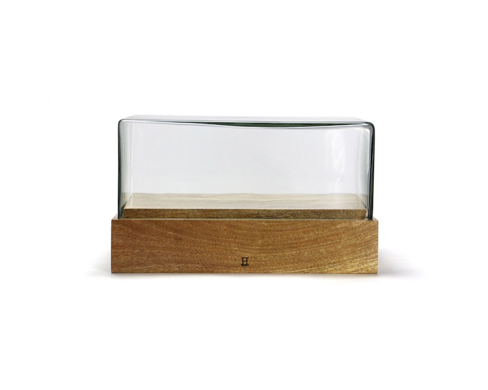DETAIL | Glass Dome Rectangle [2size] ガラスドーム レクタングル