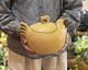 Lisa Larson | Easter Hen �ꥵ���顼���� ���������� ���å�/�˥�ȥ�