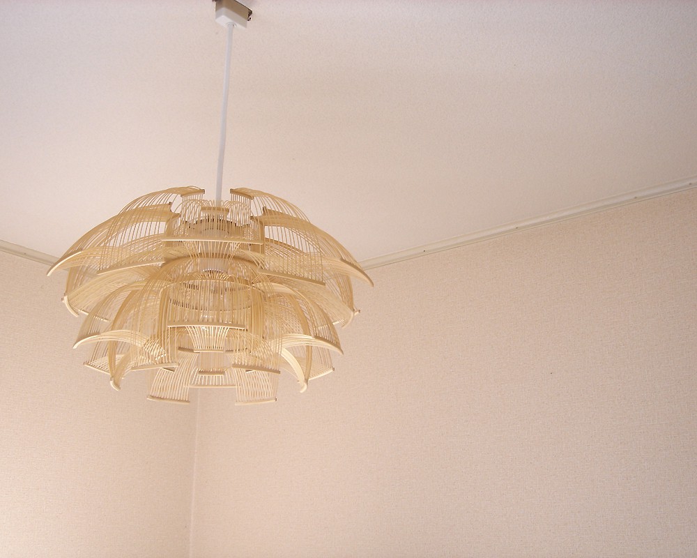 ë�ӹ� | SEN Hokore-P �ؤ� �ڥ����ȥ���