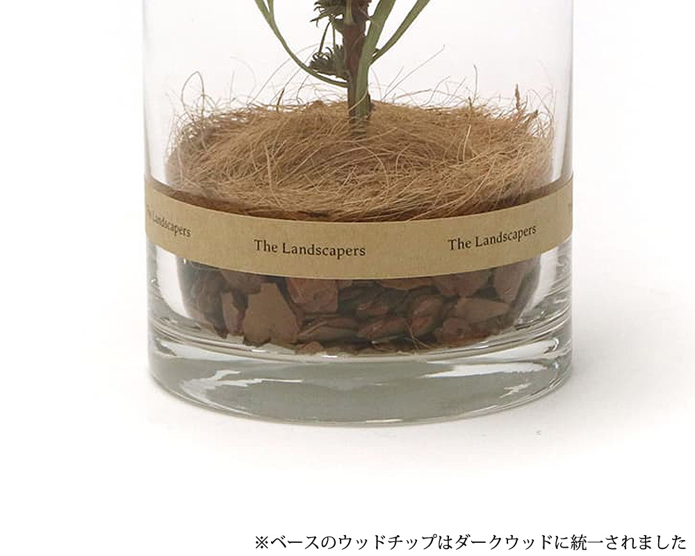 The Landscapers | DRY CYLINDER 20 [G] ɥ饤20