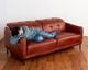 journal standard Furniture | SHEFFIELD RECLINING SOFA LEATHER RB 2nd �����ե�����ɥꥯ�饤�˥󥰥��ե� �쥶����å��֥饦��