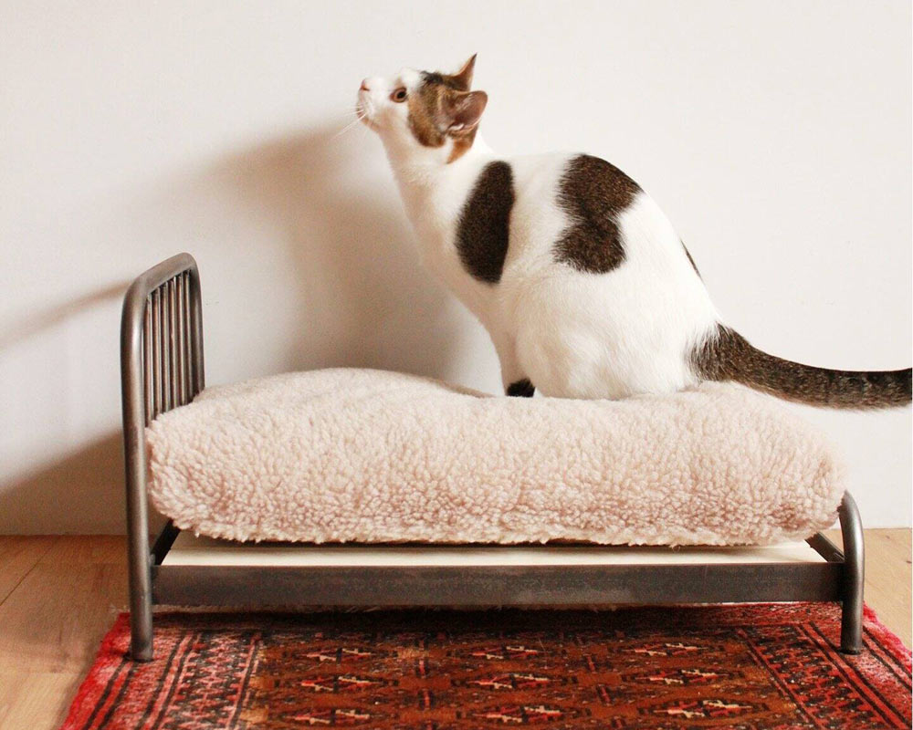 journal standard Furniture | SENS BED for CAT ���󥯥٥åɥե�������å�