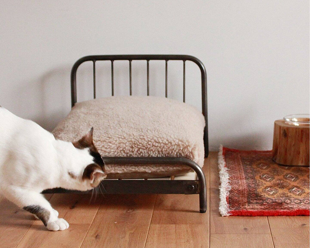 journal standard Furniture | SENS BED for CAT ���󥯥٥åɥե�������å�