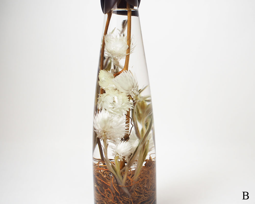 The Landscapers | PLANTAHOLIC -No.3- �ץ�󥿥ۥ�å�