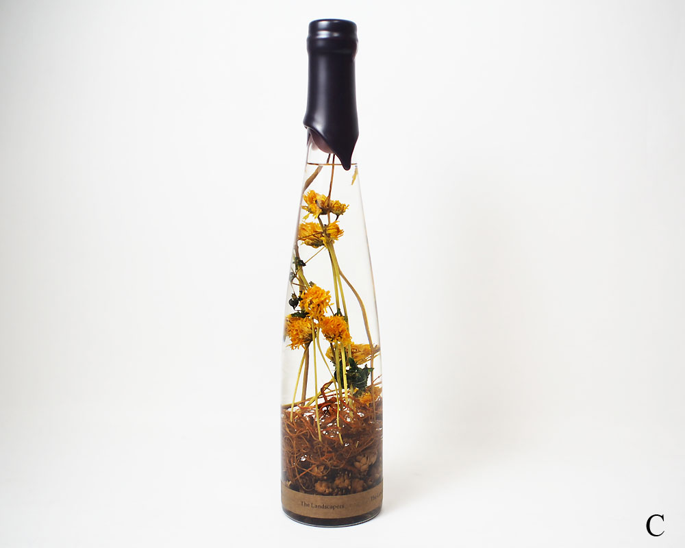 The Landscapers | PLANTAHOLIC -No.3- �ץ�󥿥ۥ�å�